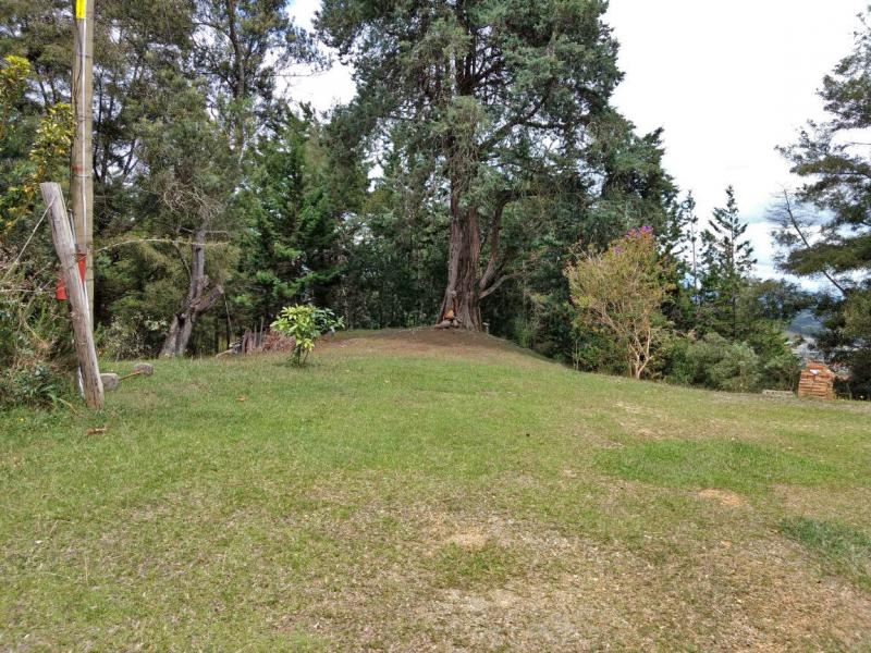 2022060431591154405251752