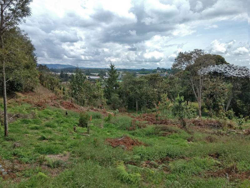 2022060432004730415251752