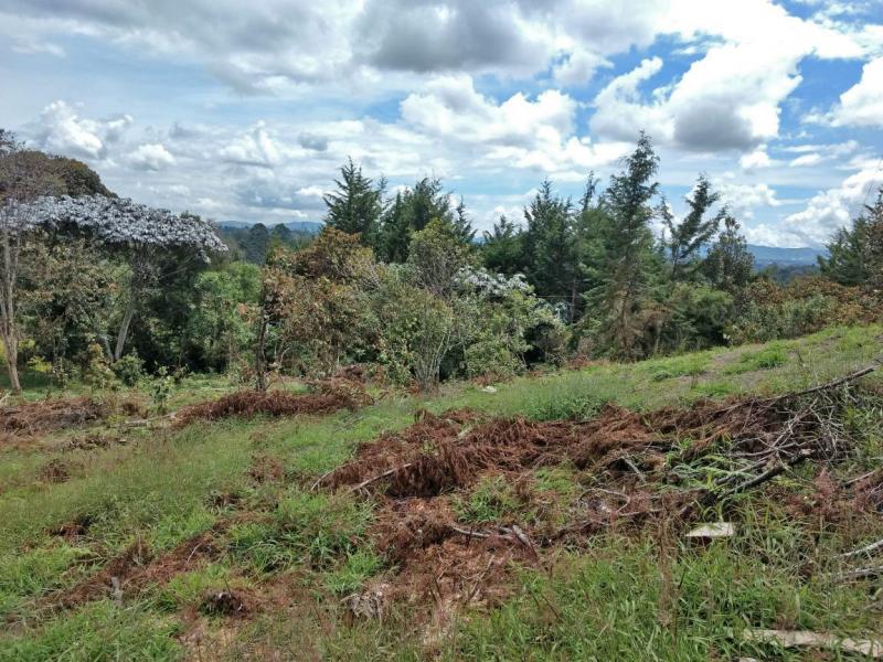 2022060432026360235251752