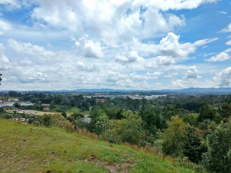 2022060432037589315251752