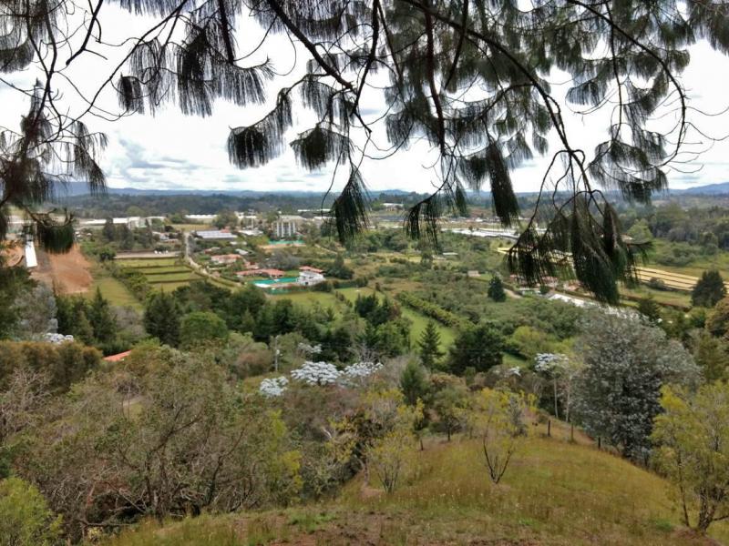 2022060432057959265251752