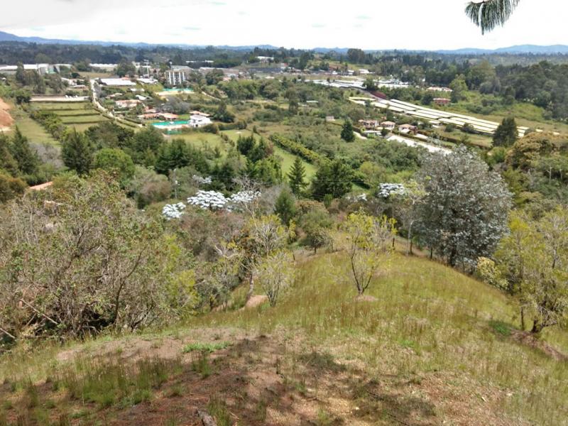 2022060432068654525251752