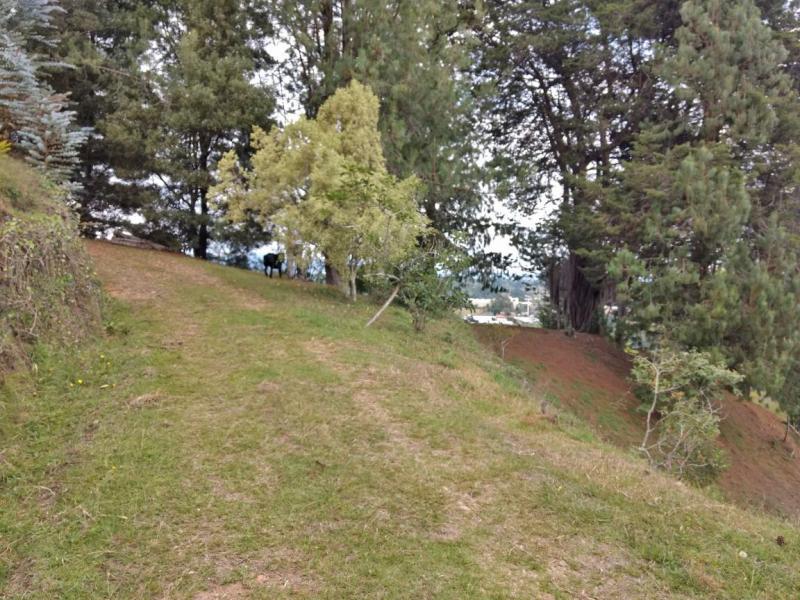 2022060432086690025251752