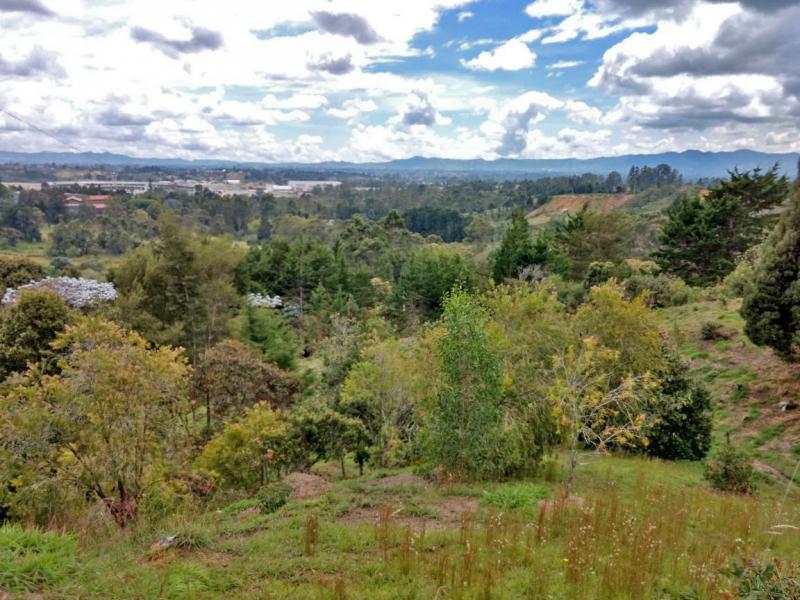 2022060432093618115251752