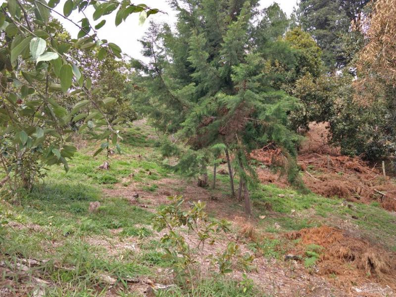 2022060432103043945251752