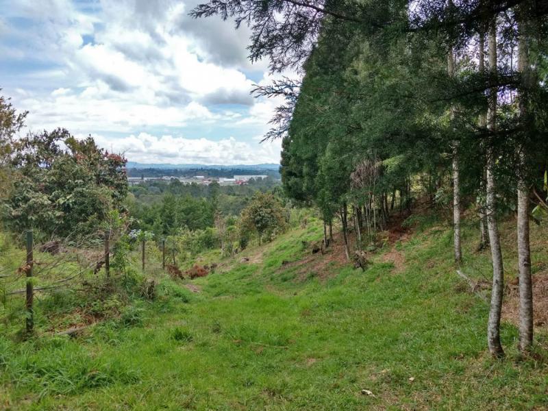 2022060432115227335251752