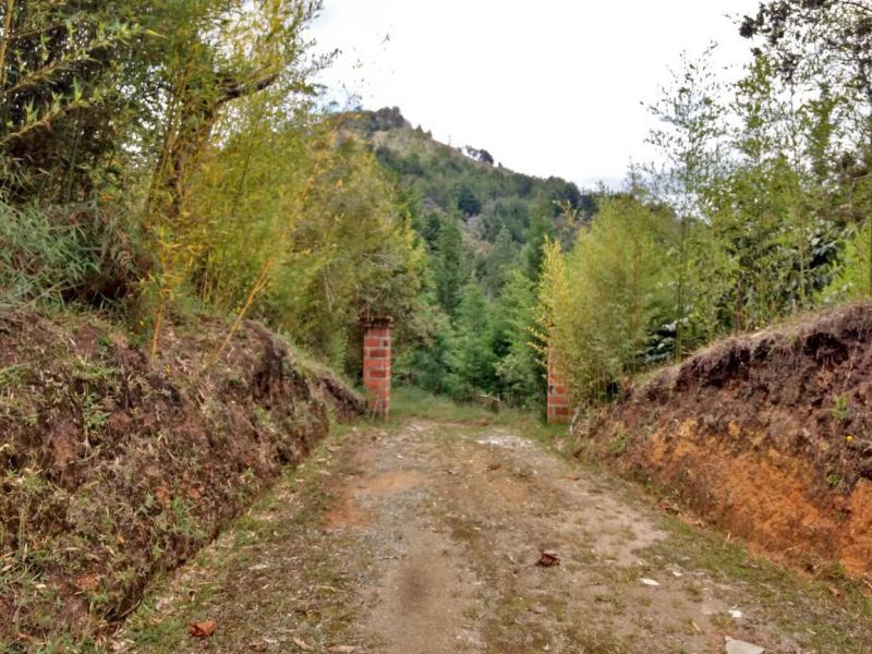 2022060432122519045251752