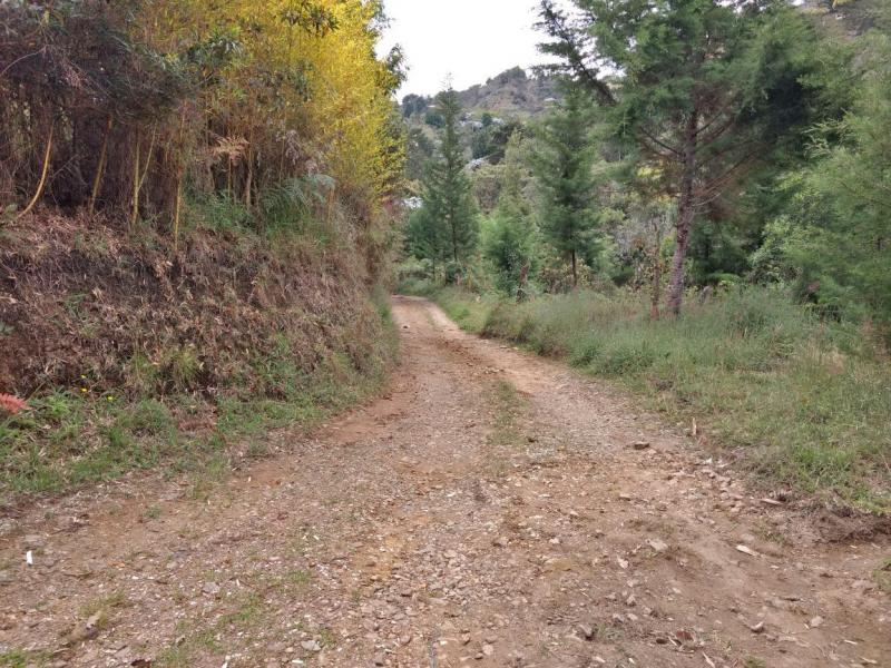 2022060432129714755251752