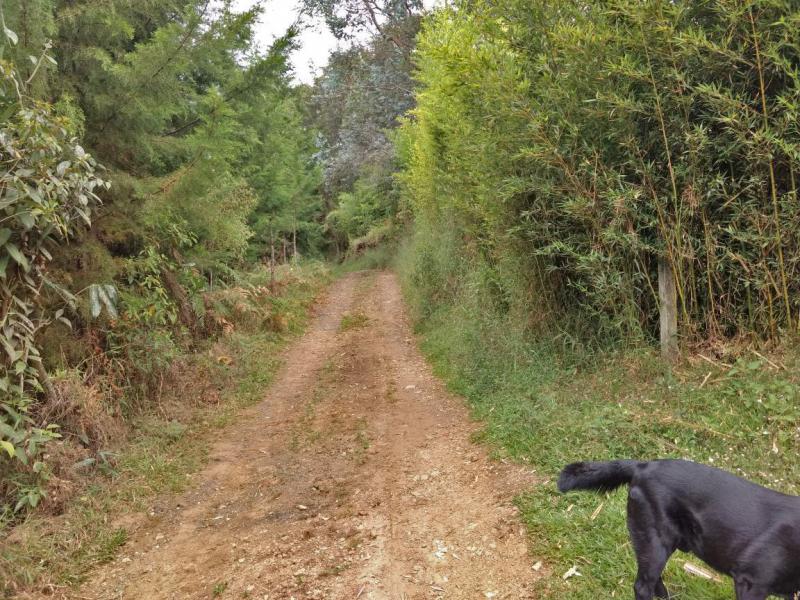 2022060432143174135251752