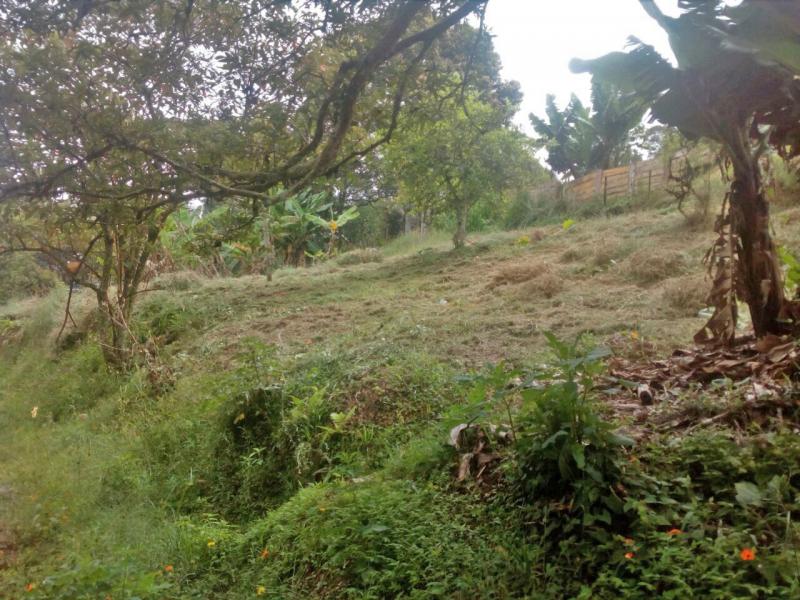 2022060433520992385251773