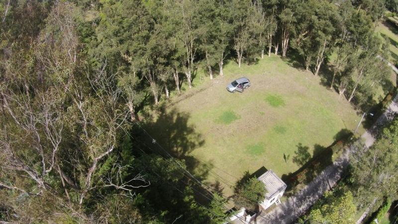 2022060436200003465251809