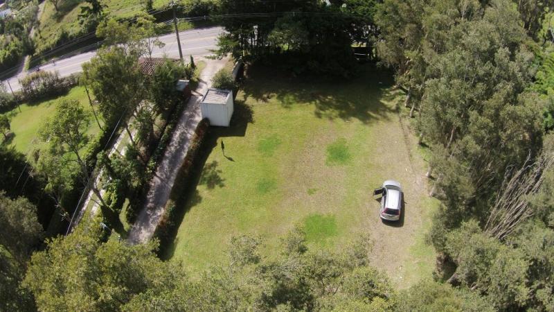 2022060436211136235251809