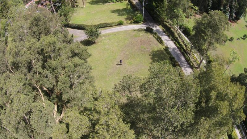 2022060436222407285251809