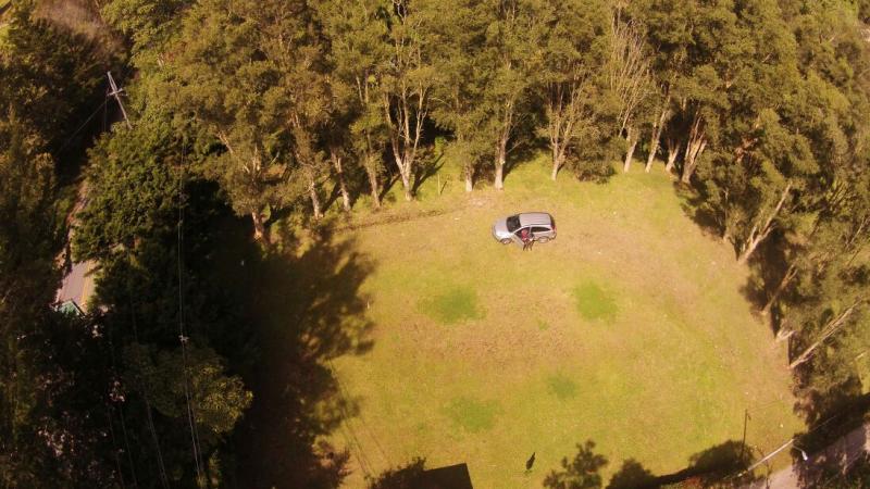 2022060436228319535251809