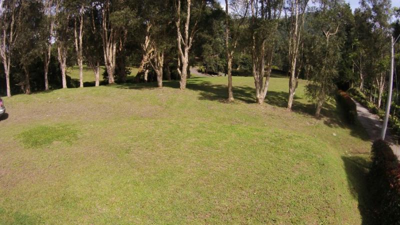 2022060436234747475251809