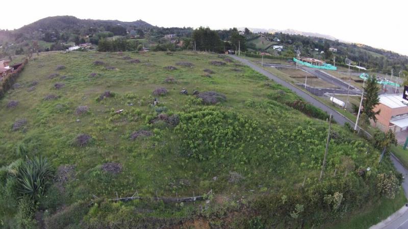 2022060437489002595251827