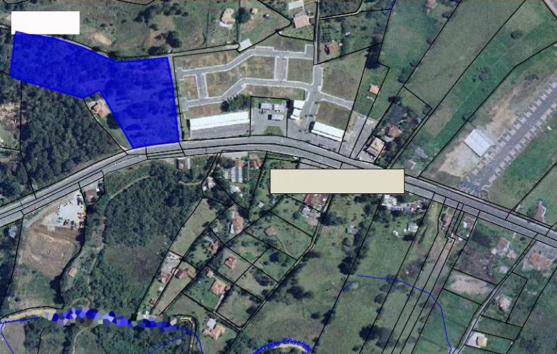 2022060437505489895251827