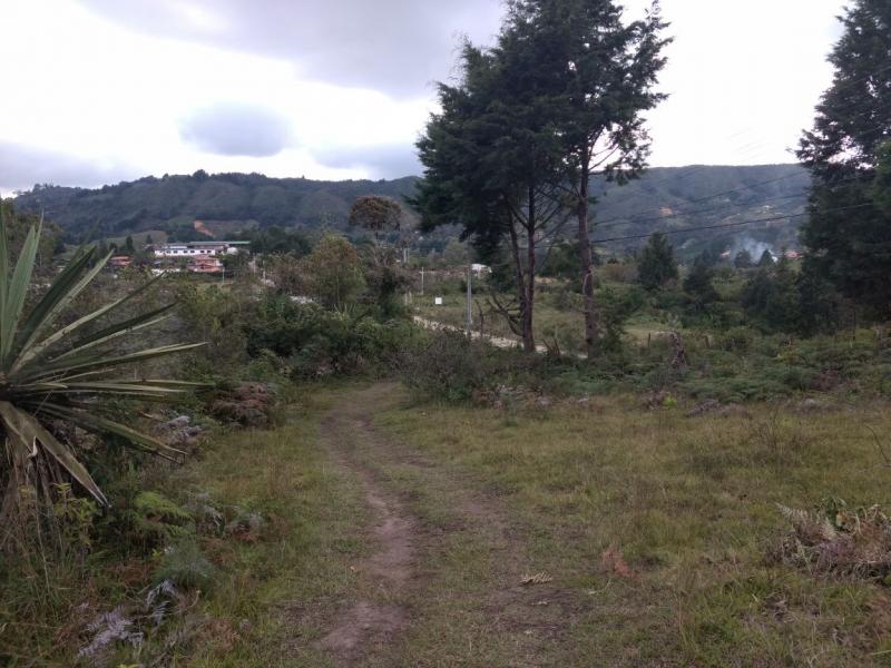 2022060442109302865251885-1