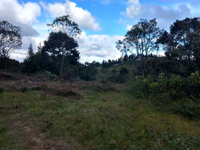 2022060442115648865251885