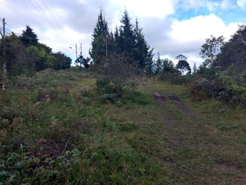 2022060442121585325251885