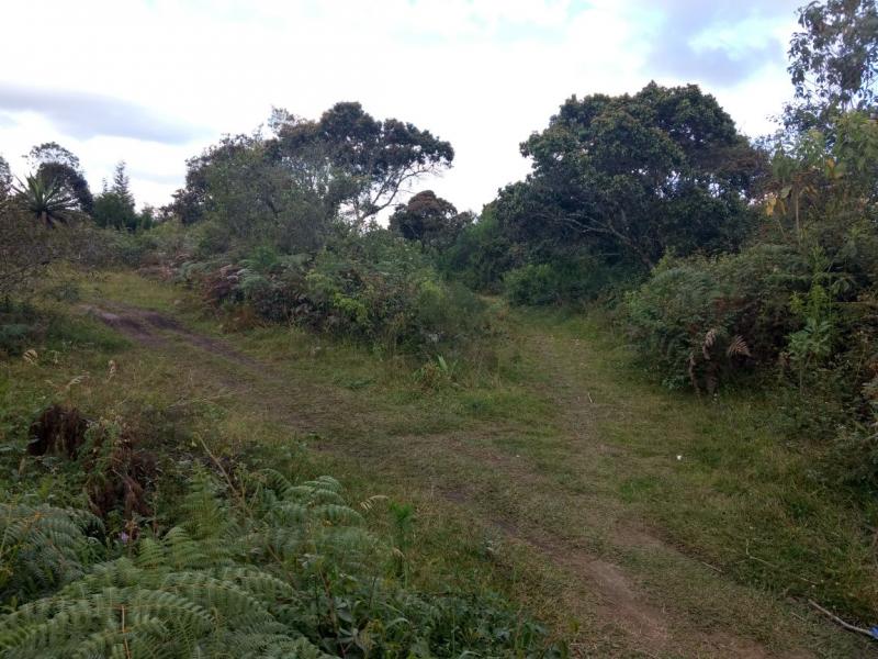 2022060442132627935251885