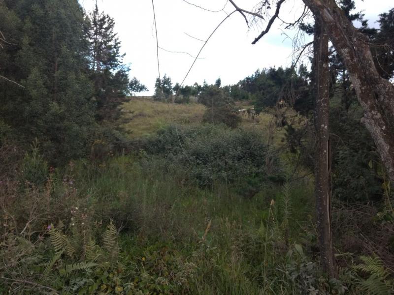 2022060442143121175251885