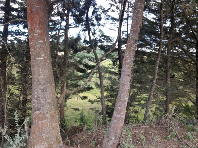 2022060442153405585251885