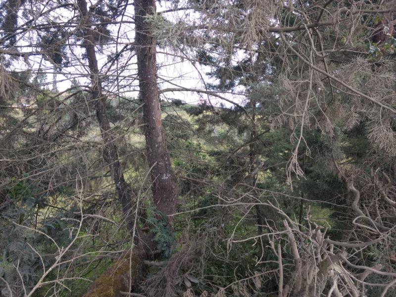 2022060442165269545251885