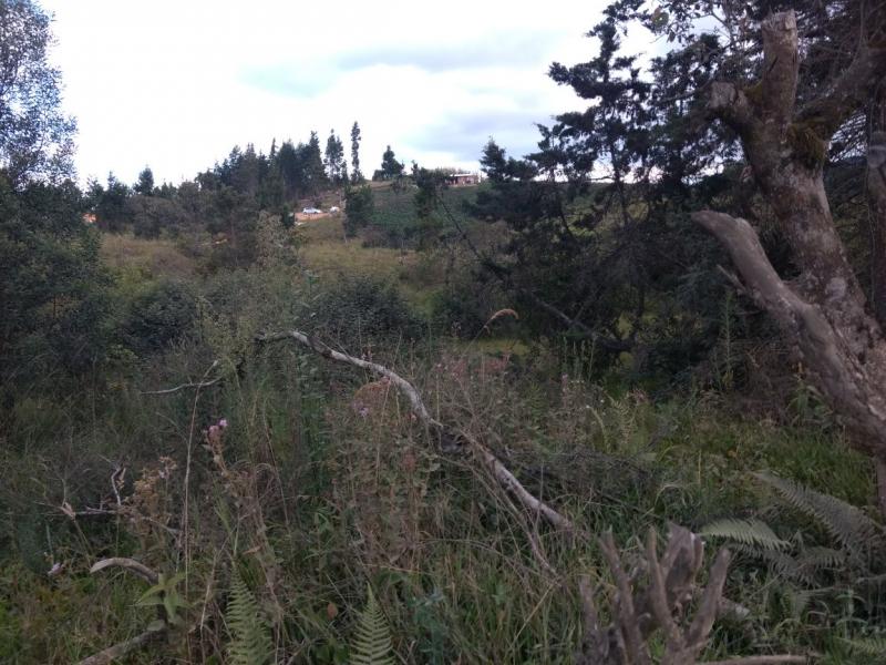 2022060442176980615251885