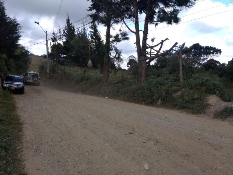 2022060442190172625251885