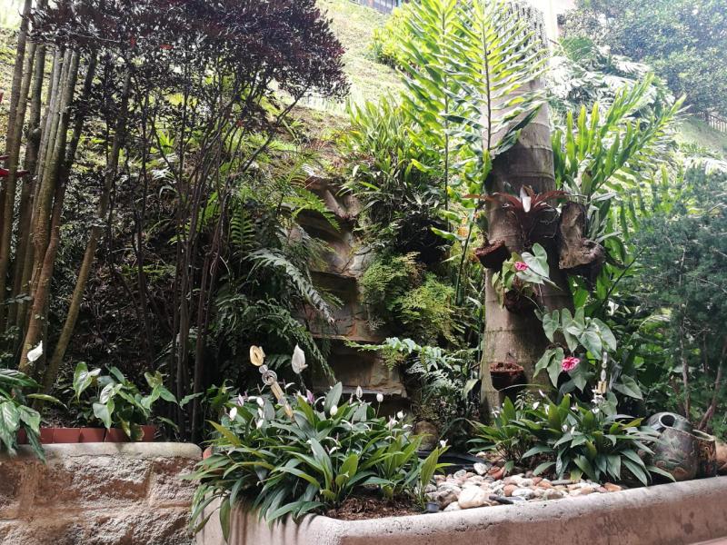 2022060445557439725251917