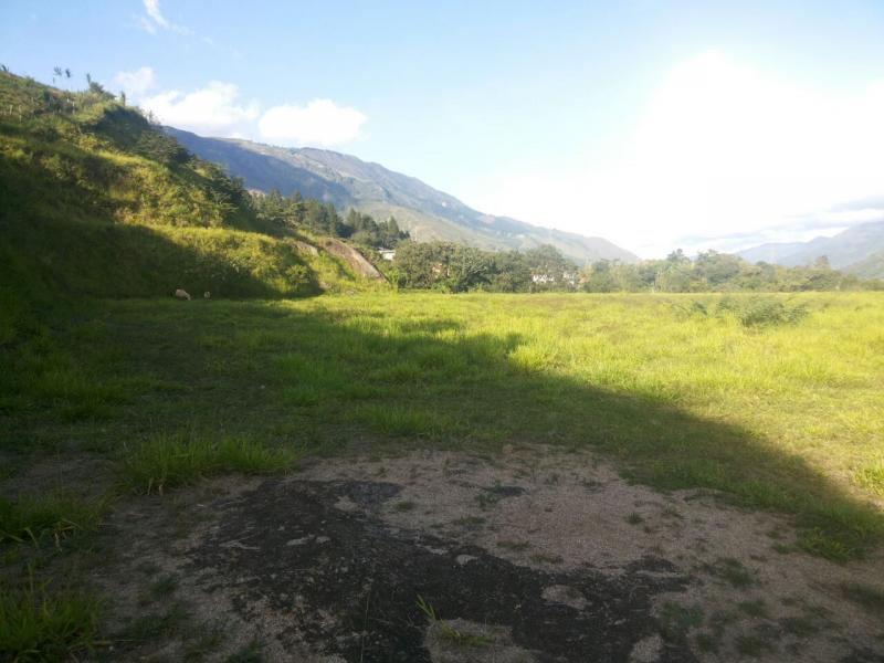 2022060448485704555251960-1