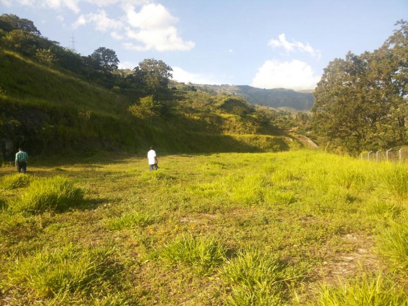 2022060448491536295251960