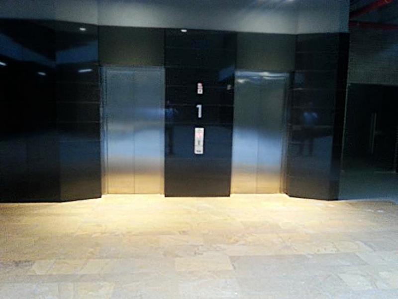 2022060449103029545251963