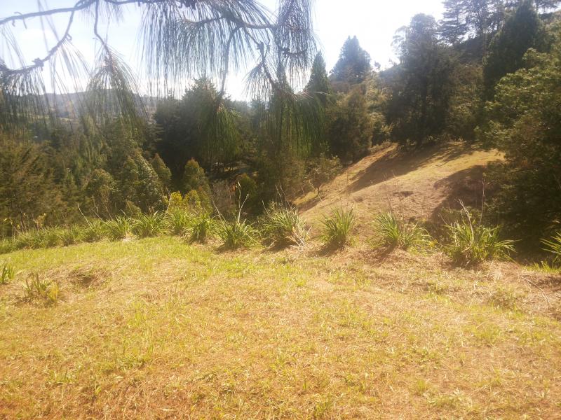 2022060450279980925251982-1