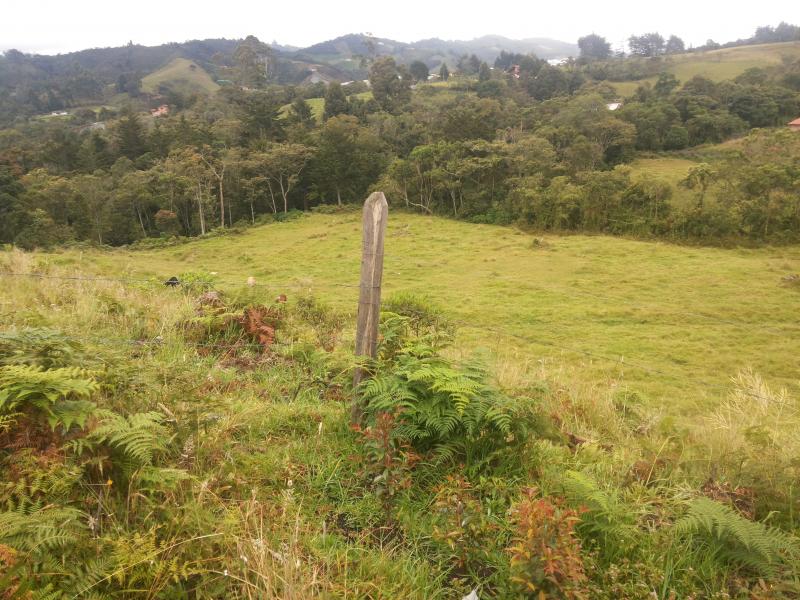 2022060450291717785251982