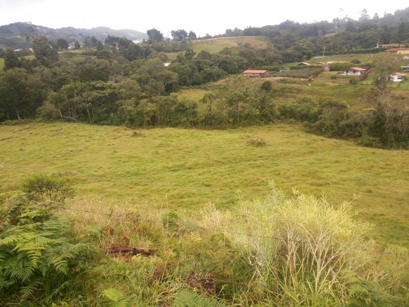 2022060450301111485251982