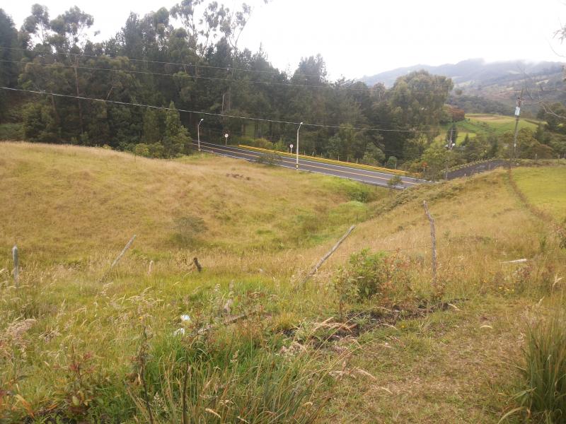 2022060450307249635251982