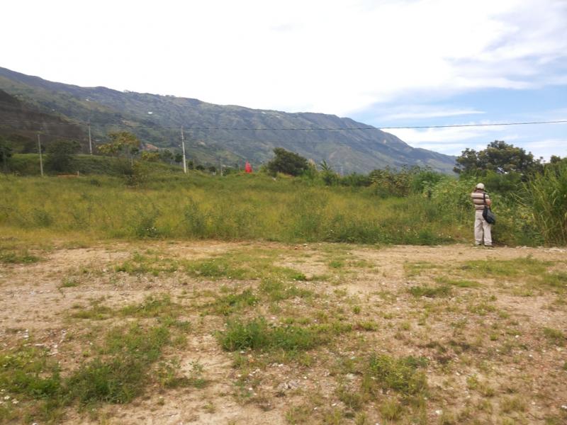 2022060450406764605251985