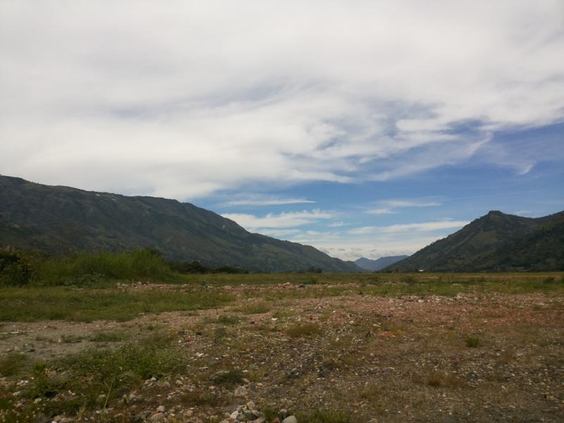 2022060450416446025251985