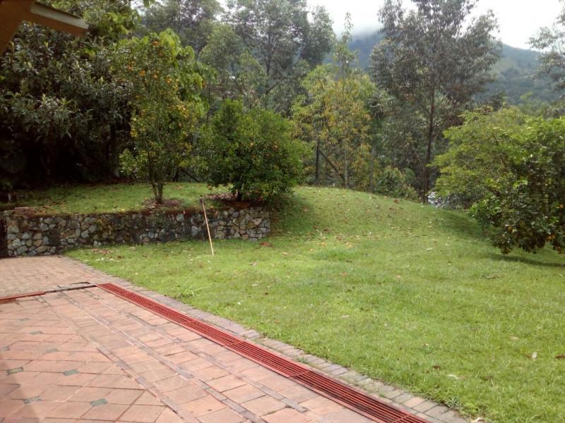 2022060452002279095252003