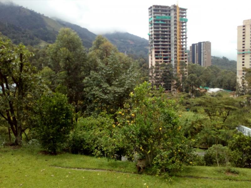 2022060452013119135252003