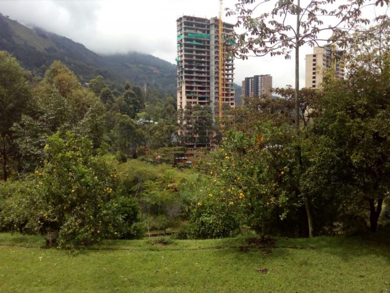 2022060452035714875252003