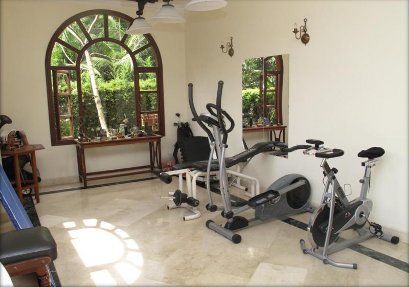 2022060455092203645252031