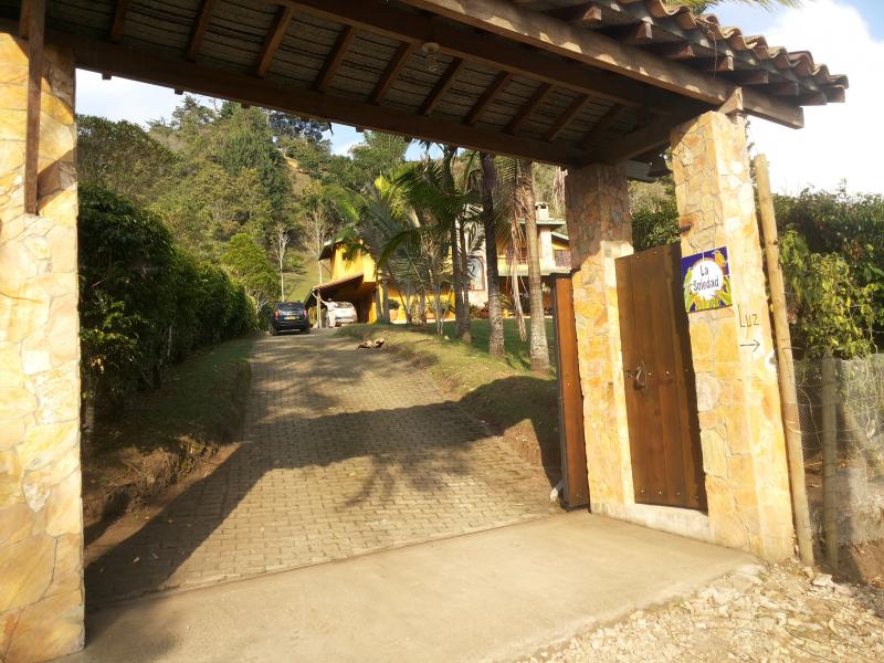 2022060459525571515252089