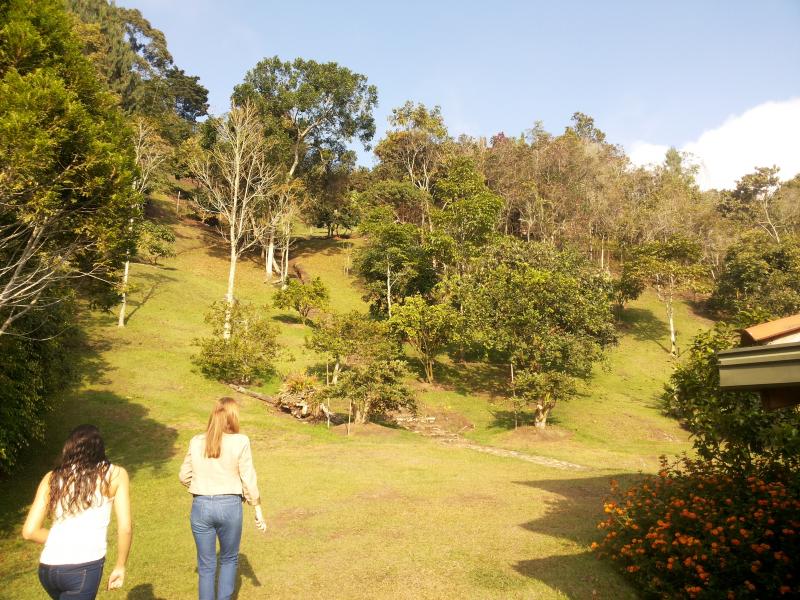 2022060459542619545252089