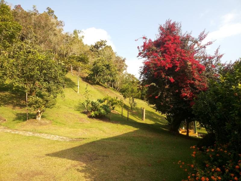 2022060459556726005252089