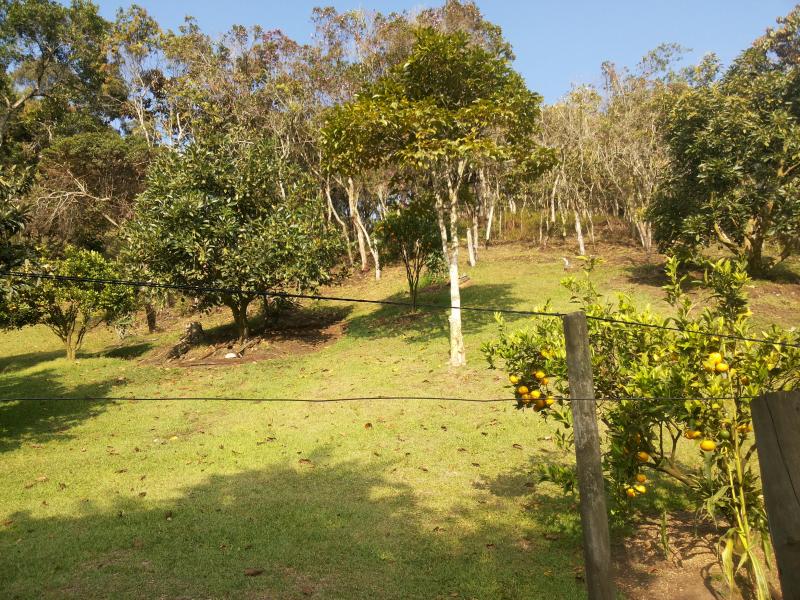 2022060459568111945252089