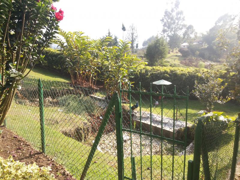 2022060459590471325252089