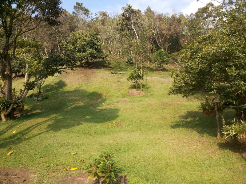 2022060500001882475252089